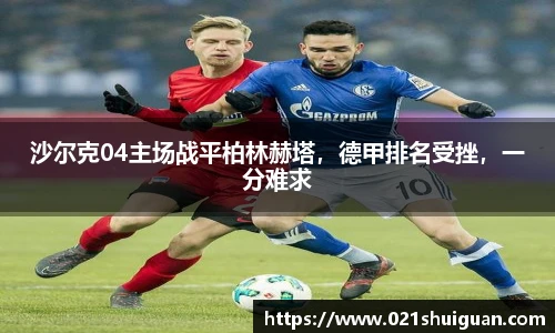 zoty中欧体育