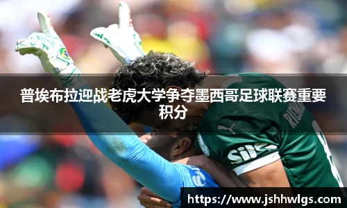 普埃布拉迎战老虎大学争夺墨西哥足球联赛重要积分
